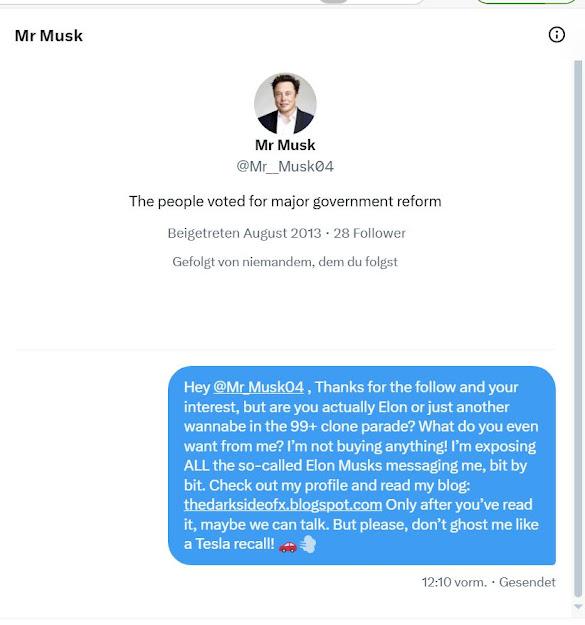 Nachricht an den Fake-Elon-Musk-Account