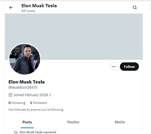 Profile of the fake Elon account