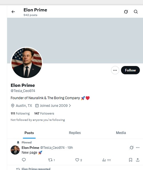 Profile of the Nigerian fake Elon