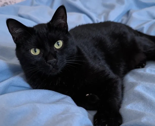 Adriono – mein Seelenpartner