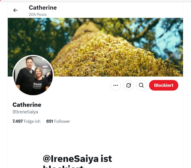 Catherine Fake Account