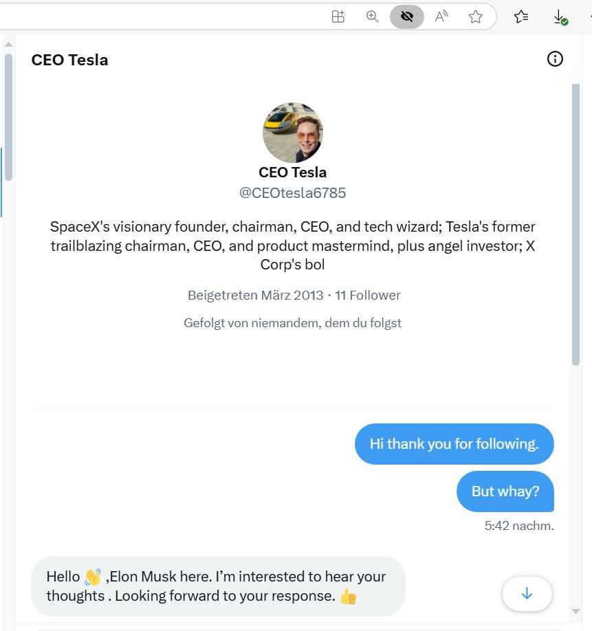 Chatverlauf mit dem Scam-Account