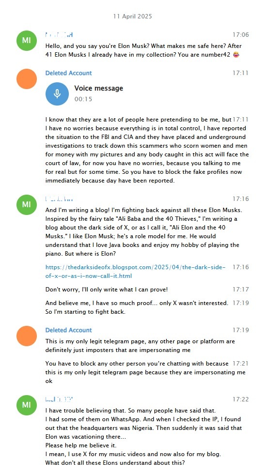 Gespräch mit dem angeblichen Elon Musk