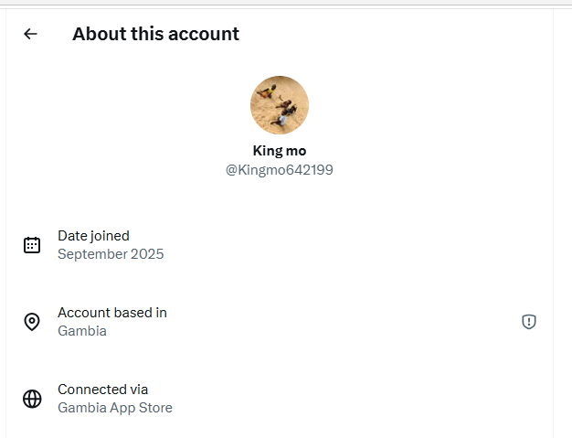 Fake Account 2