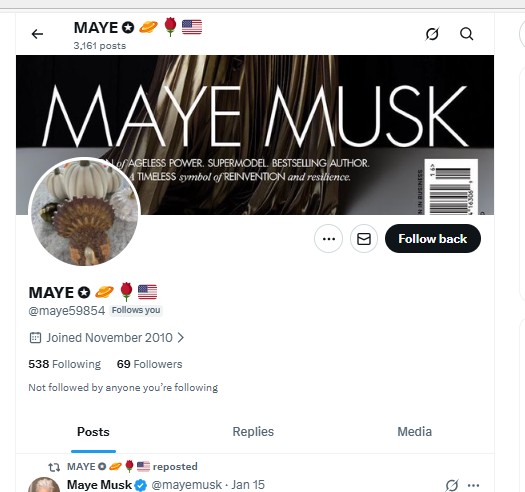 Zweites Profil-Beispiel