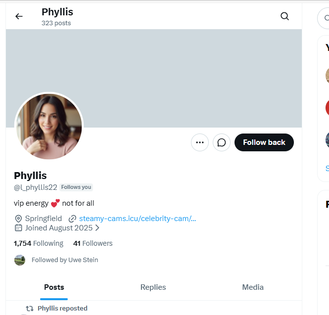 Profil des Fake-Accounts Phyllis @Lphyllis22 mit verdächtigem Link