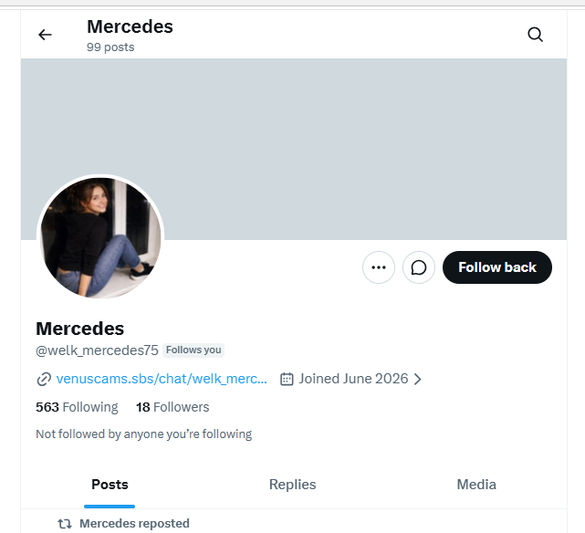 Profil des verdächtigen Accounts @welck_mercedes75