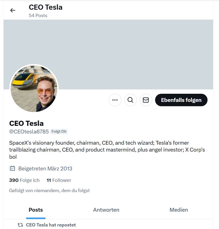 Profil des Fake-Accounts CEO Tesla
