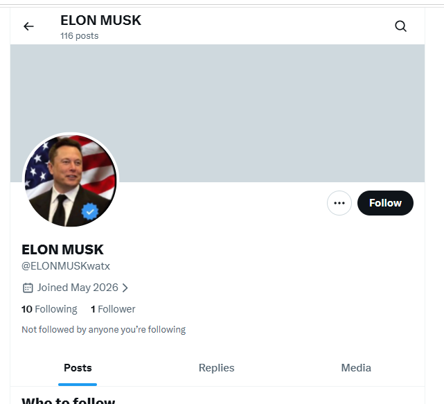 Profil des angeblichen Elon Musk – Handle ELONMUSKWATx auf X
