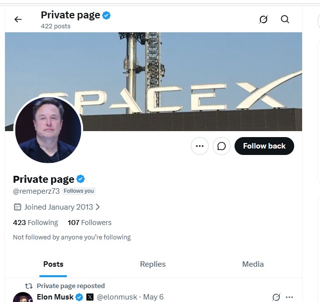 Fake Profil Screenshot