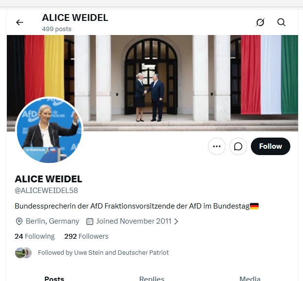 Screenshot eines mutmaßlichen Alice-Weidel-Fake-Accounts auf X