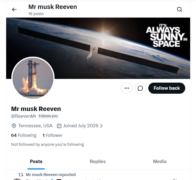 Profilansicht des Accounts Mr musk Reeven @ReevenMr auf X